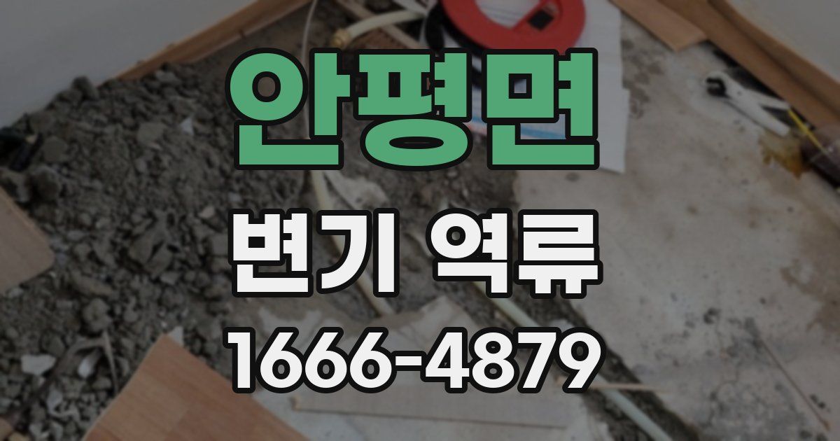 안평면 변기 역류