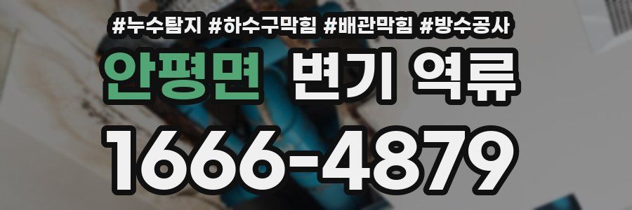 안평면 변기 역류