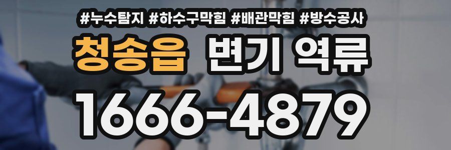 청송읍 변기 역류