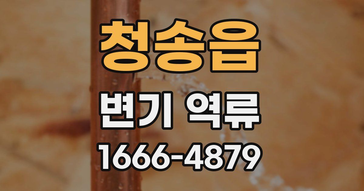 청송읍 변기 역류