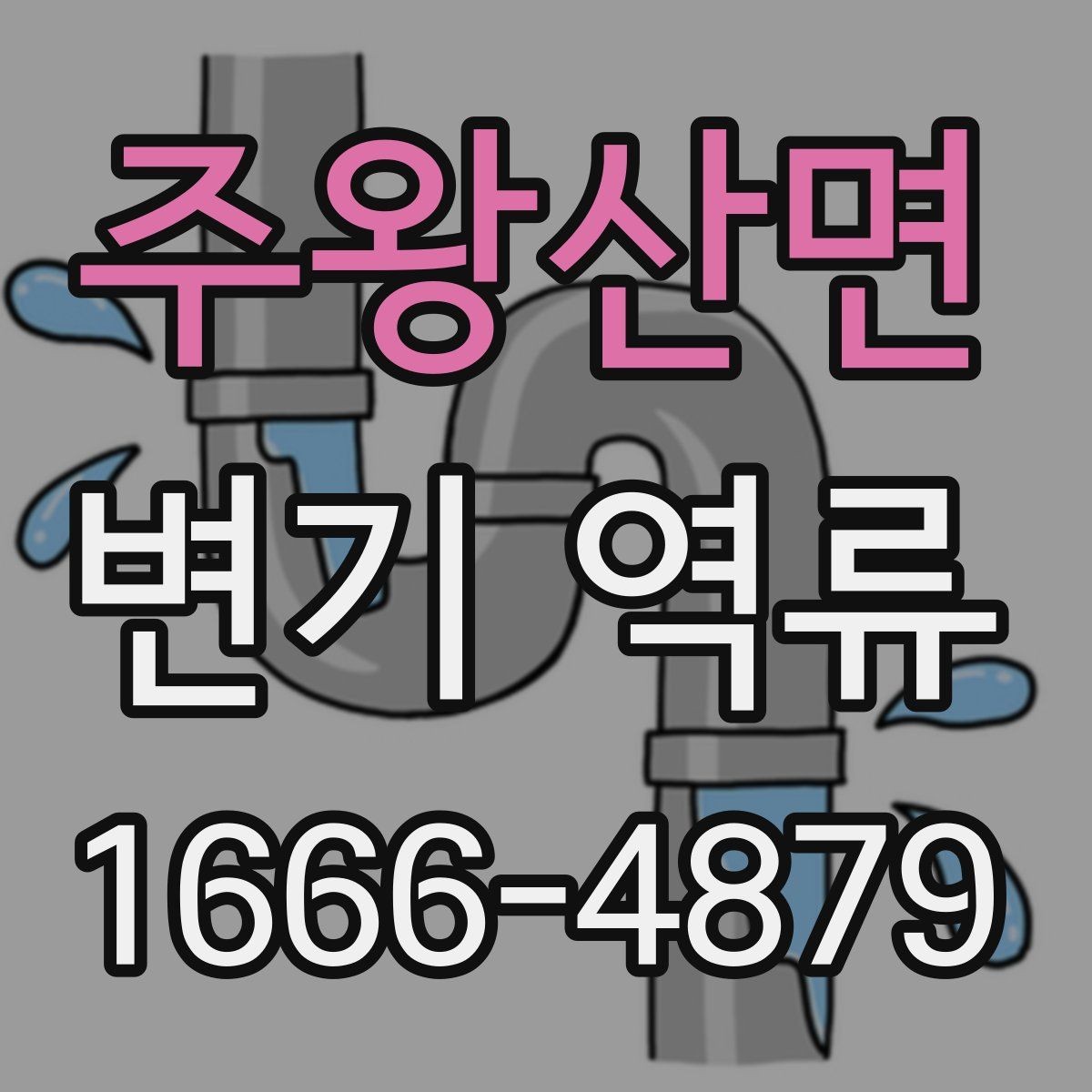 주왕산면 변기 역류 막힘이 아닌데도 물이 올라오는 이유