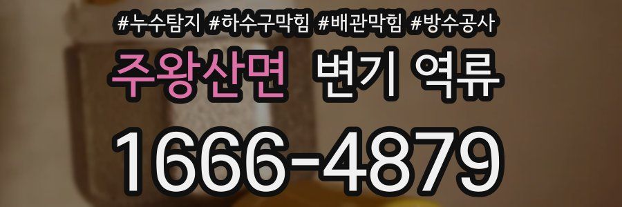 주왕산면 변기 역류