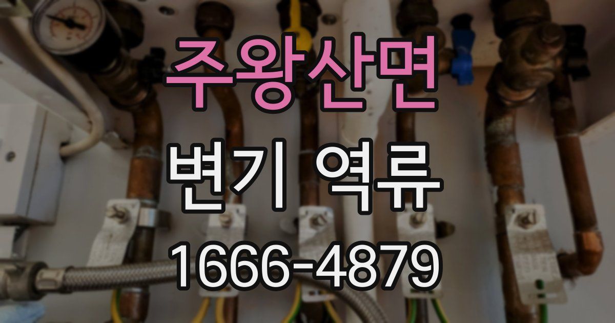 주왕산면 변기 역류