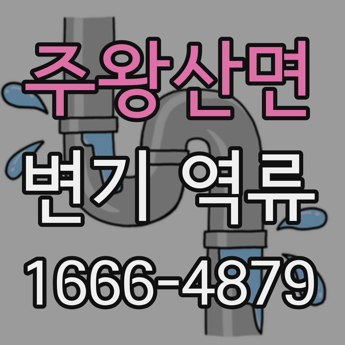 주왕산면 변기 역류