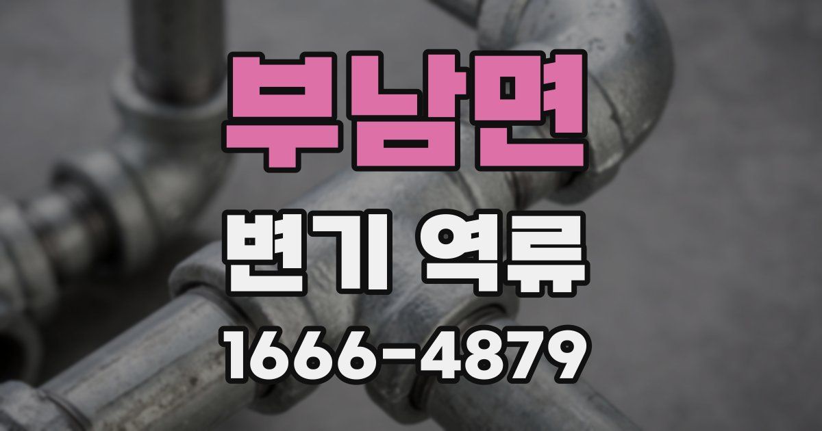 부남면 변기 역류
