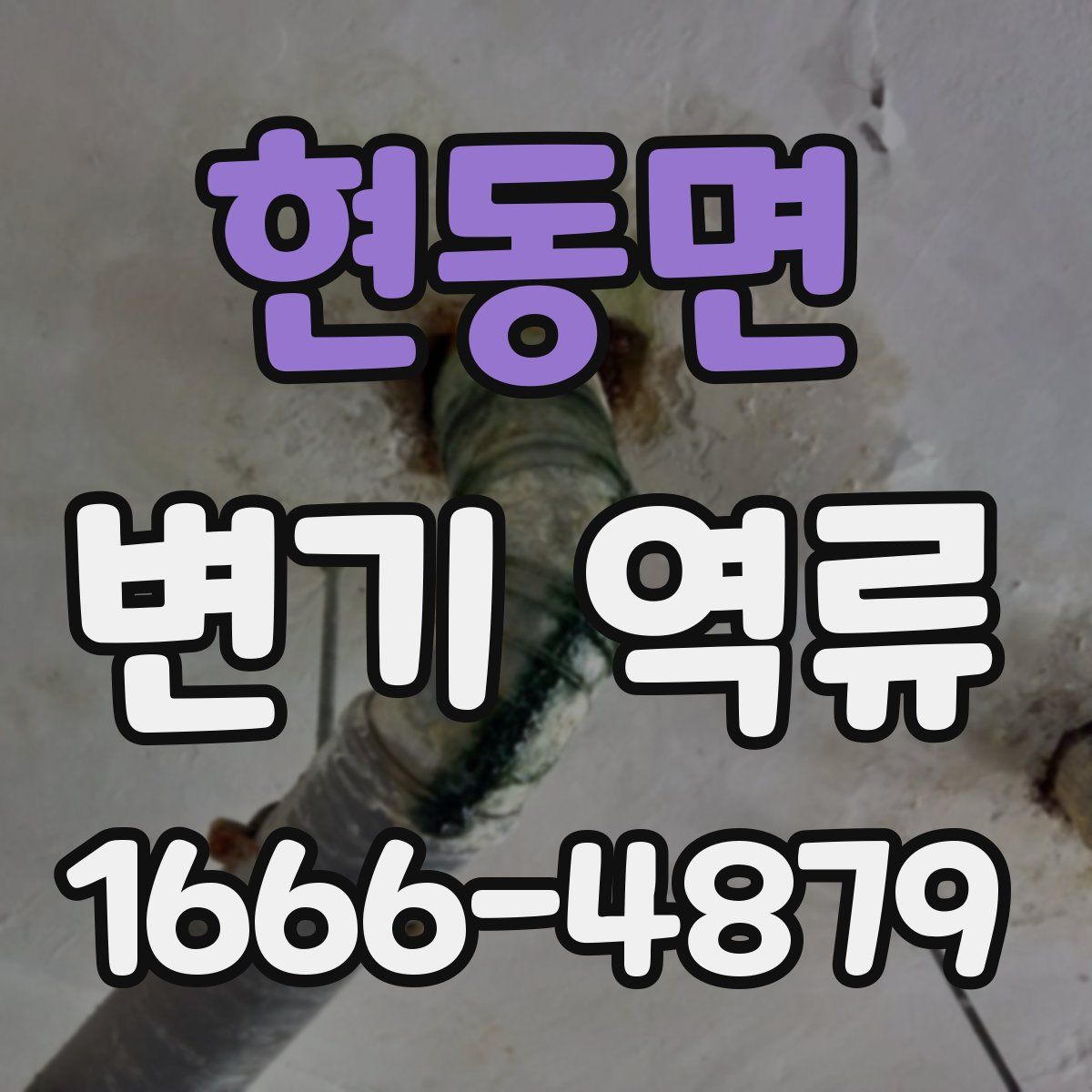 현동면 변기 역류