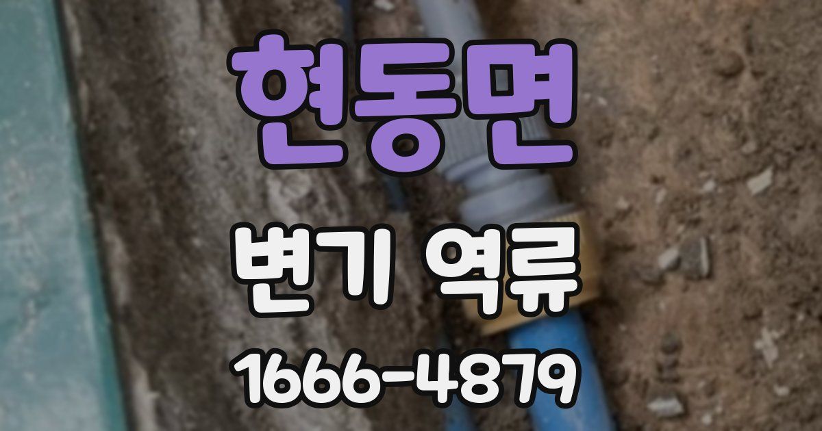 현동면 변기 역류