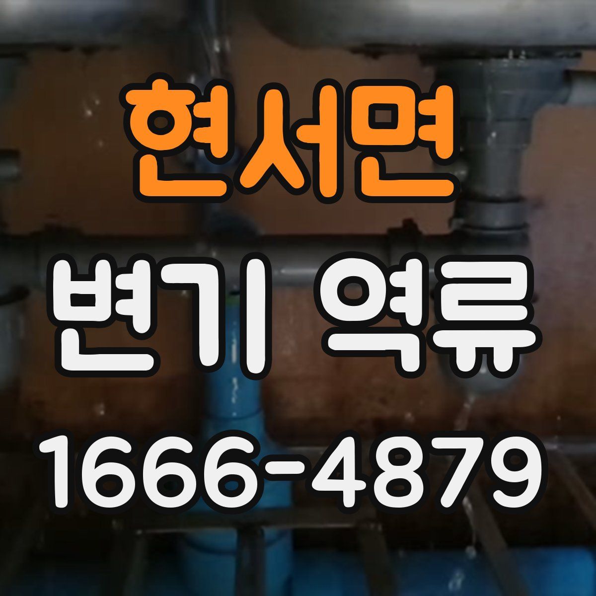 현서면 변기 역류