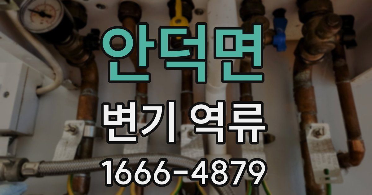 안덕면 변기 역류