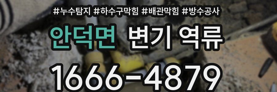 안덕면 변기 역류