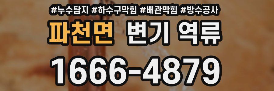 파천면 변기 역류