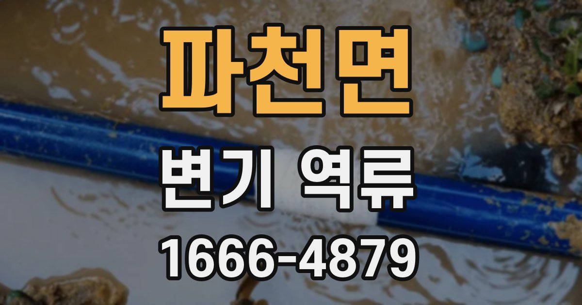 파천면 변기 역류