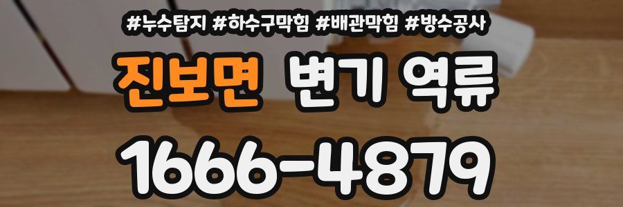 진보면 변기 역류