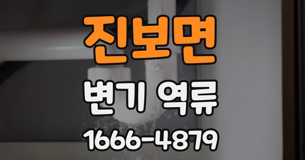 진보면 변기 역류