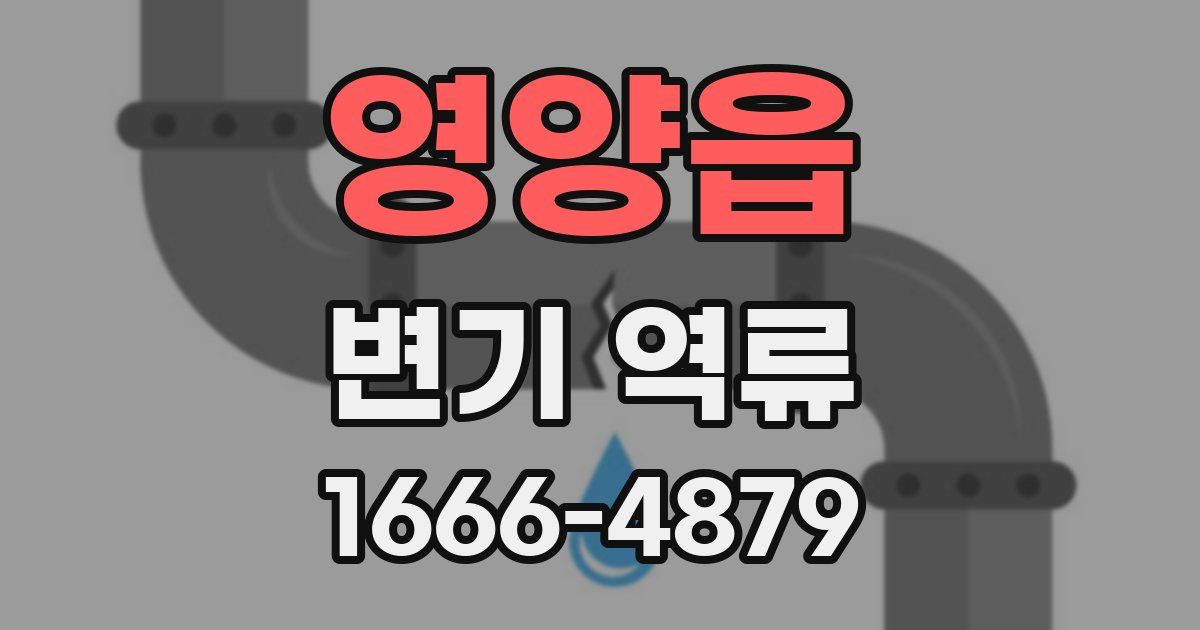 영양읍 변기 역류
