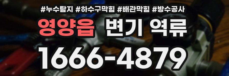 영양읍 변기 역류