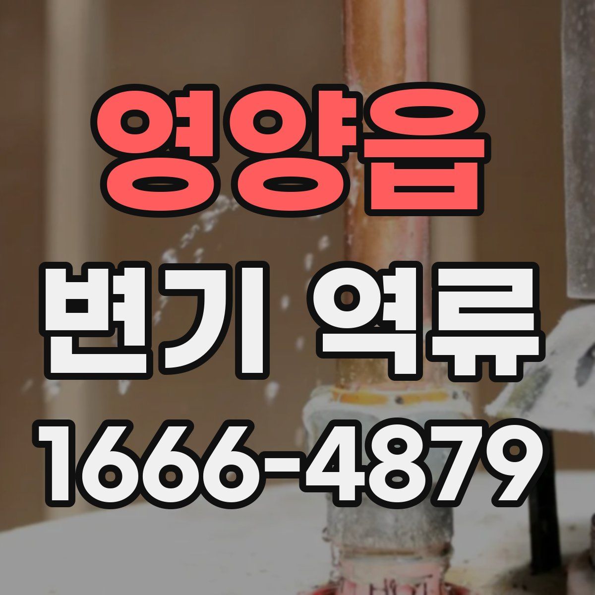 영양읍 변기 역류