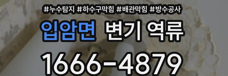 입암면 변기 역류