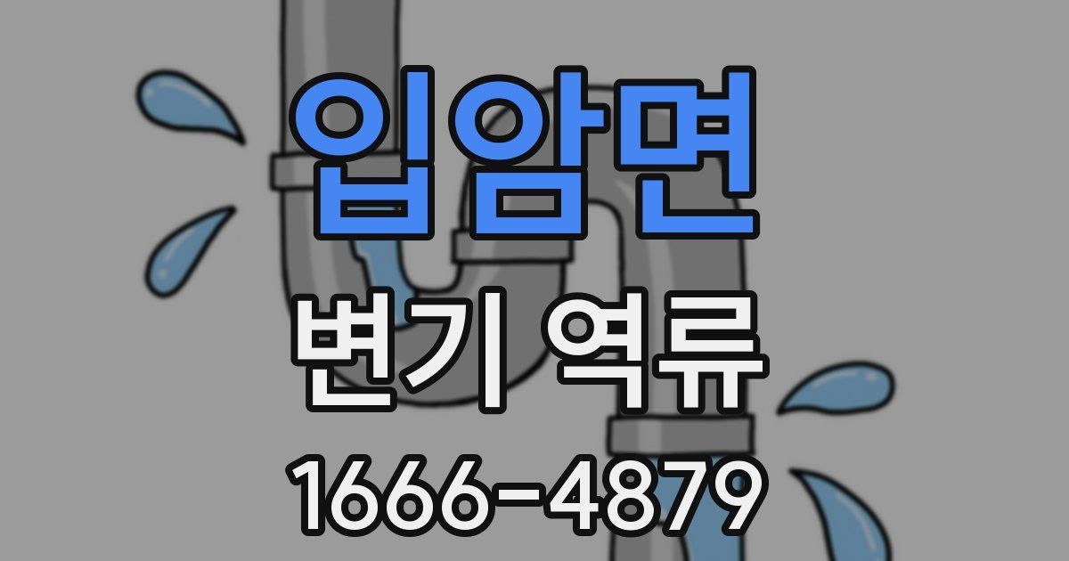 입암면 변기 역류