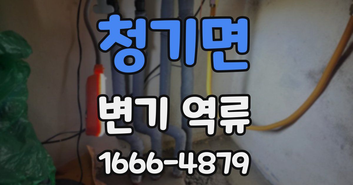 청기면 변기 역류