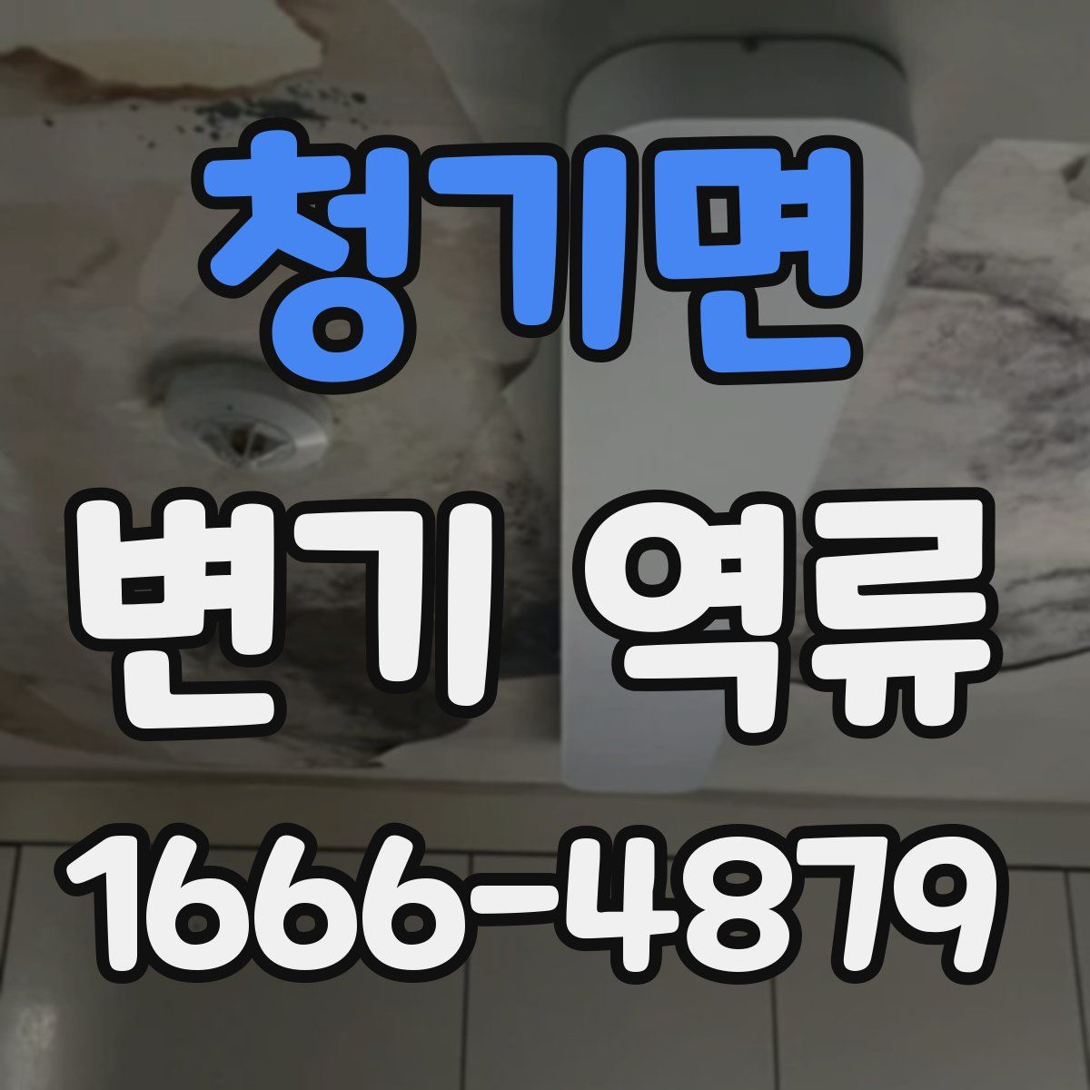 청기면 변기 역류
