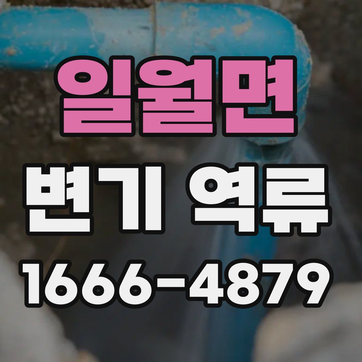 일월면 변기 역류