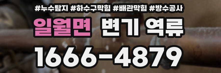 일월면 변기 역류