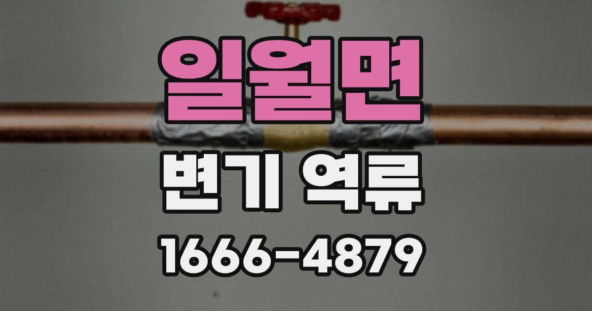 일월면 변기 역류