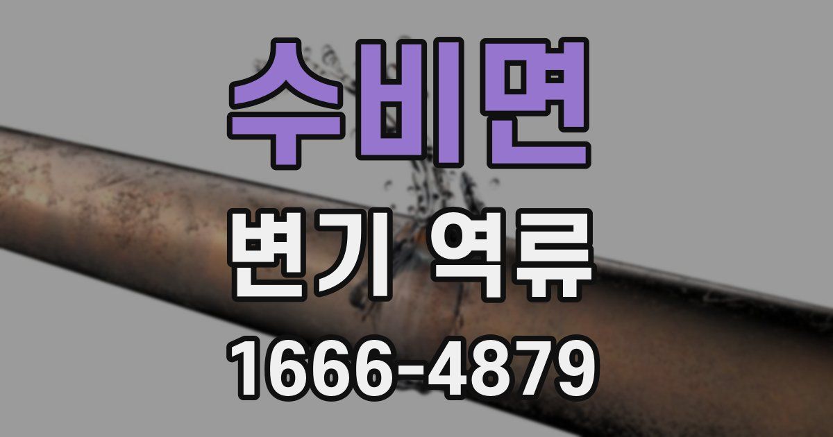 수비면 변기 역류