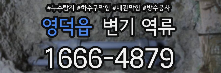 영덕읍 변기 역류
