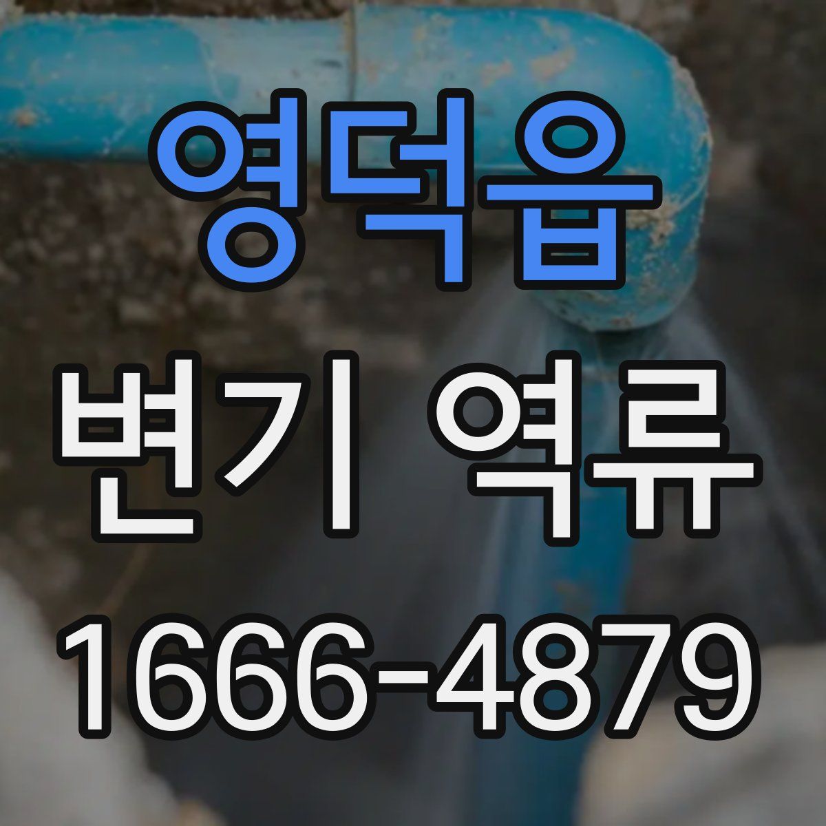 영덕읍 변기 역류