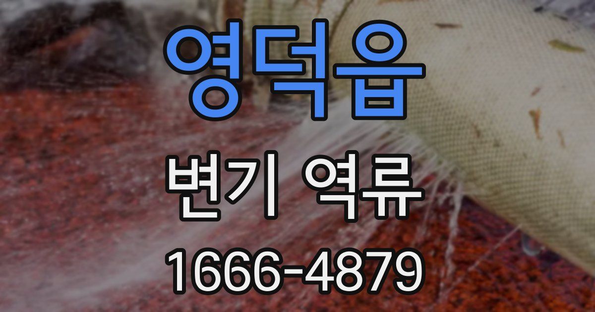 영덕읍 변기 역류