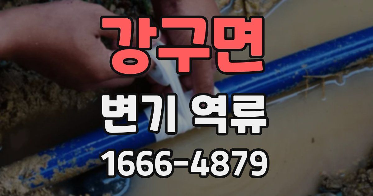 강구면 변기 역류