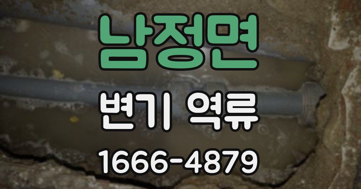 남정면 변기 역류
