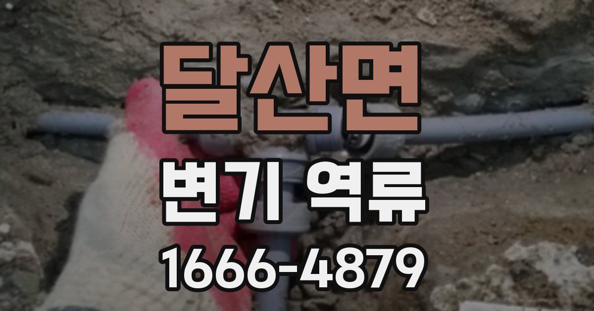 달산면 변기 역류