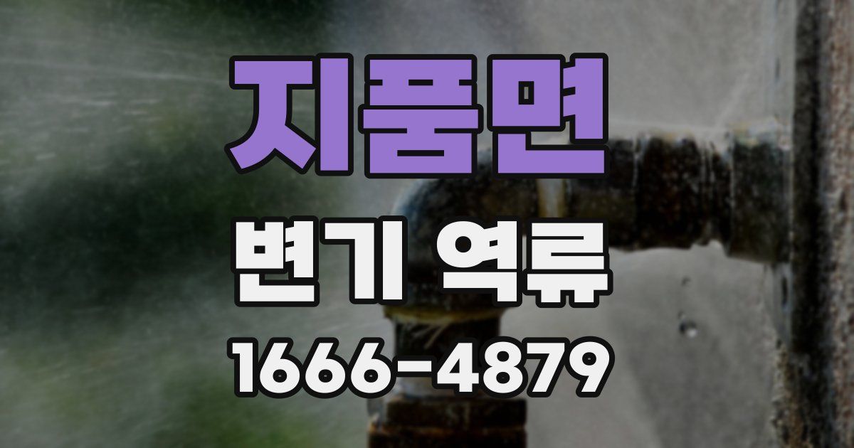 지품면 변기 역류