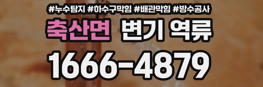 축산면 변기 역류