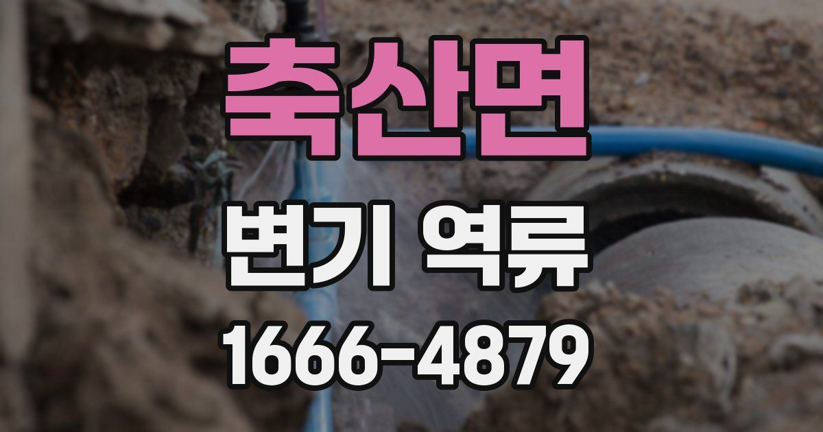 축산면 변기 역류