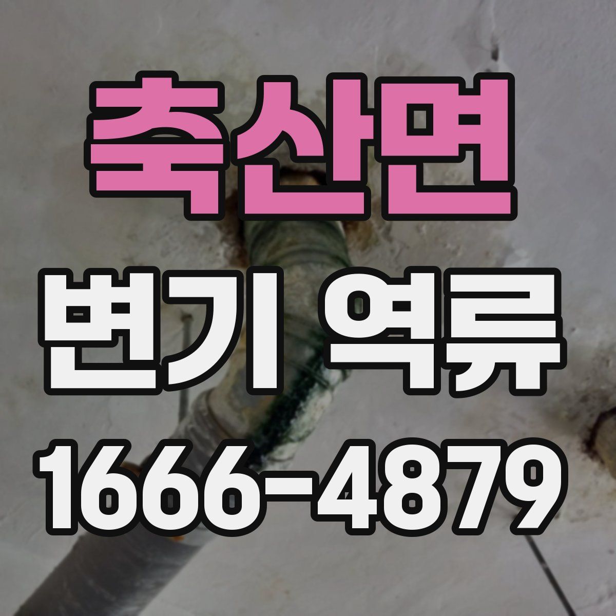 축산면 변기 역류