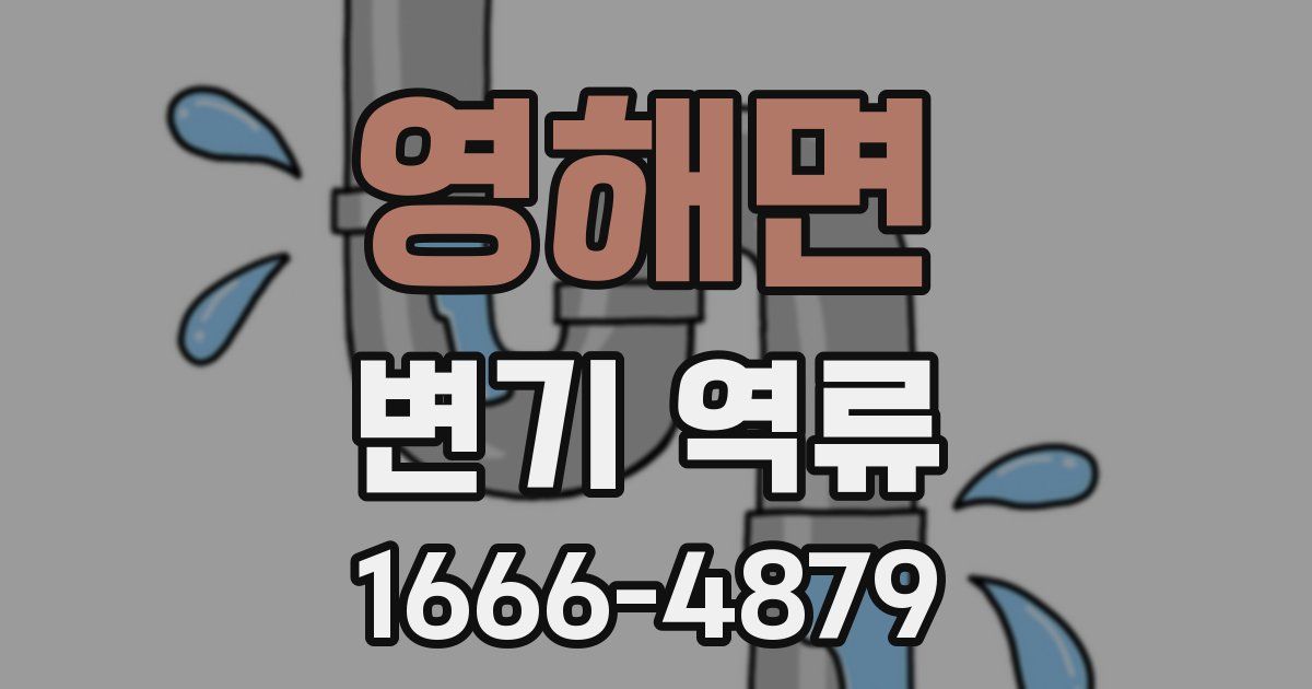 영해면 변기 역류