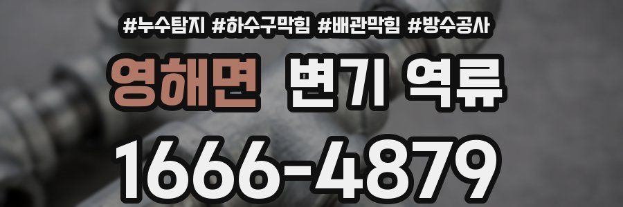 영해면 변기 역류