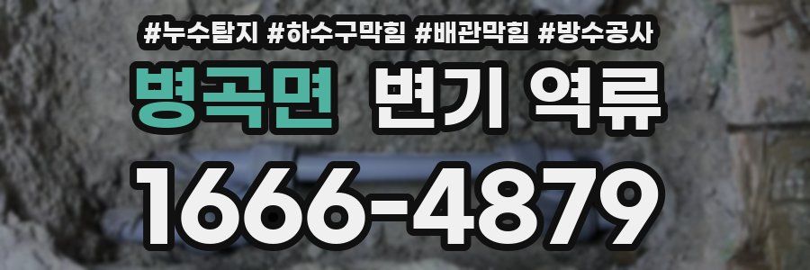병곡면 변기 역류