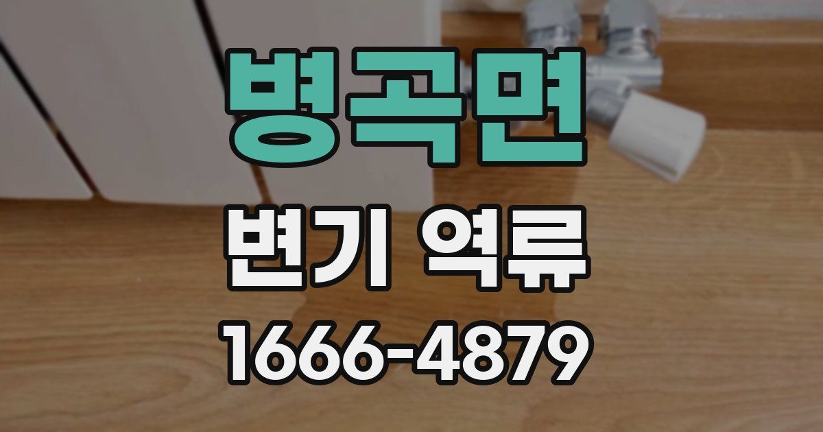 병곡면 변기 역류