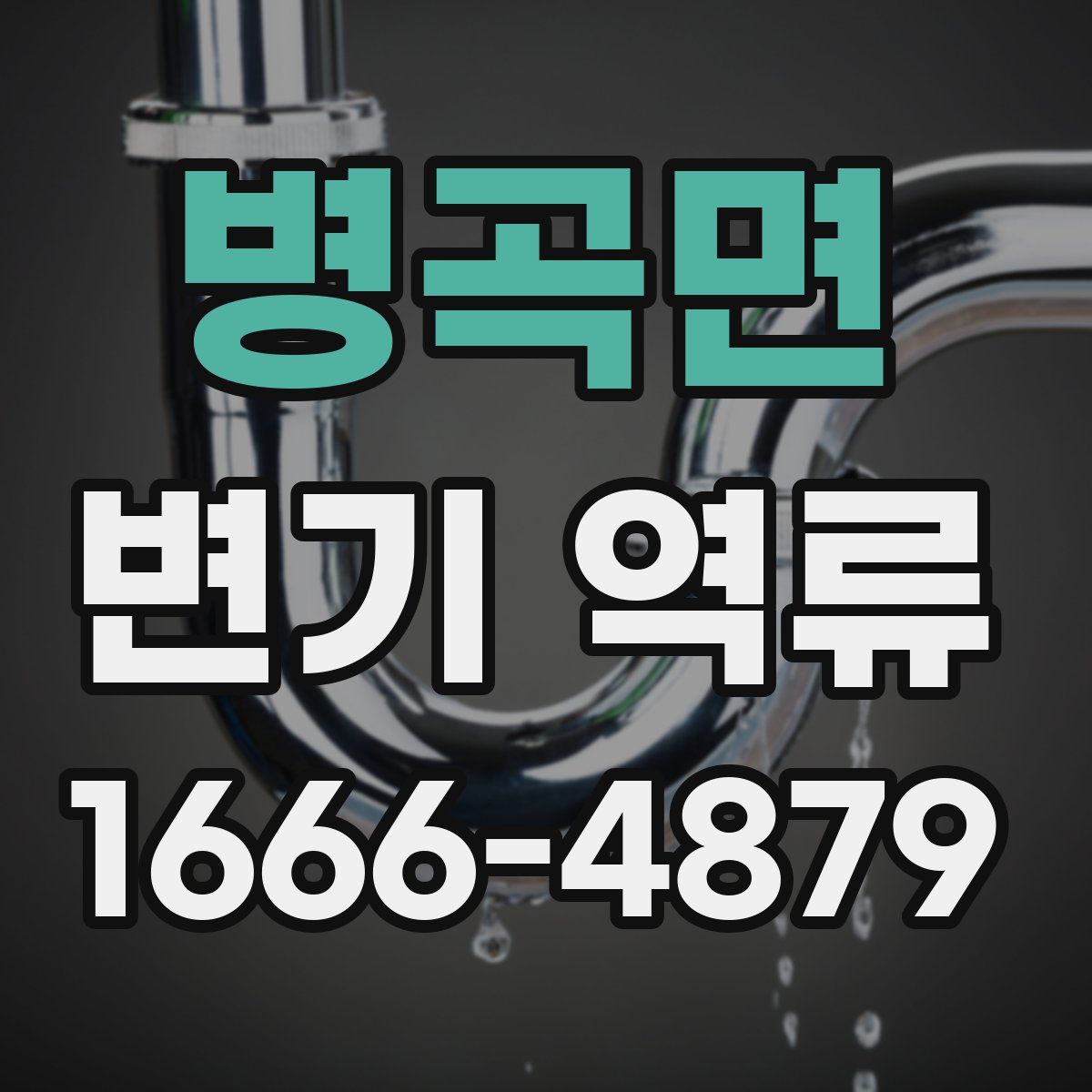 병곡면 변기 역류