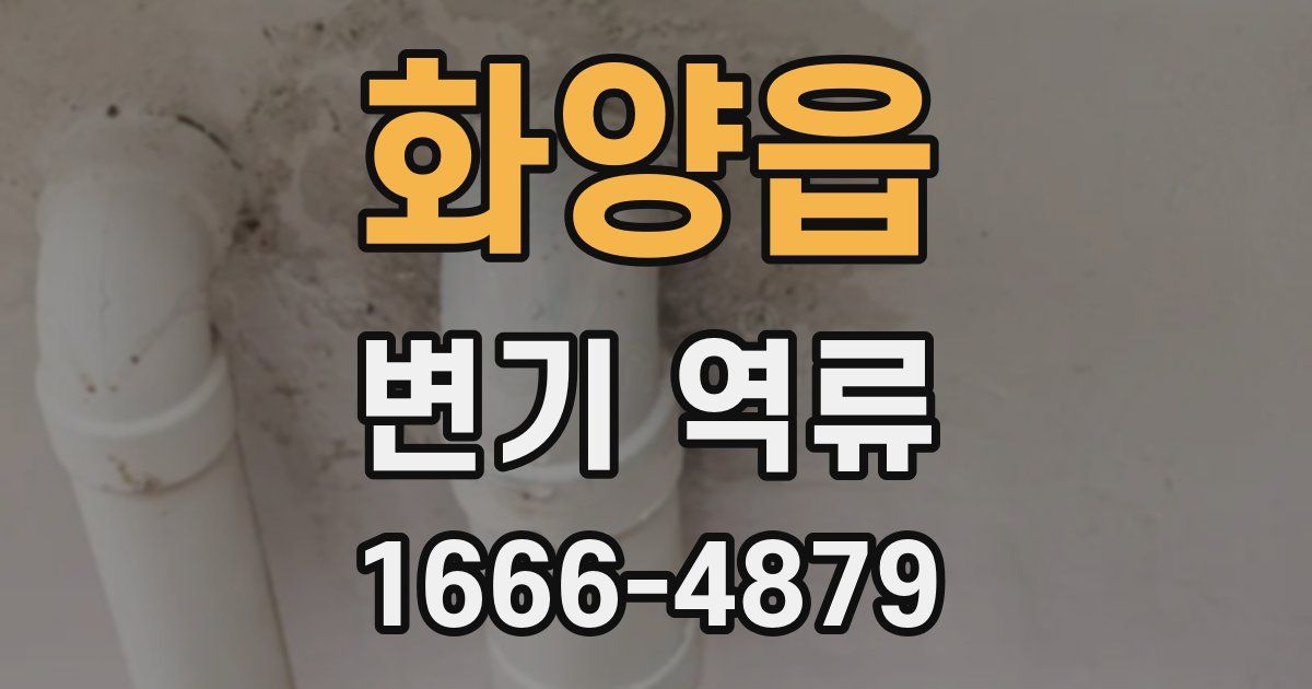 화양읍 변기 역류