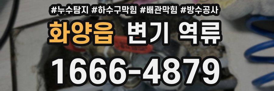 화양읍 변기 역류
