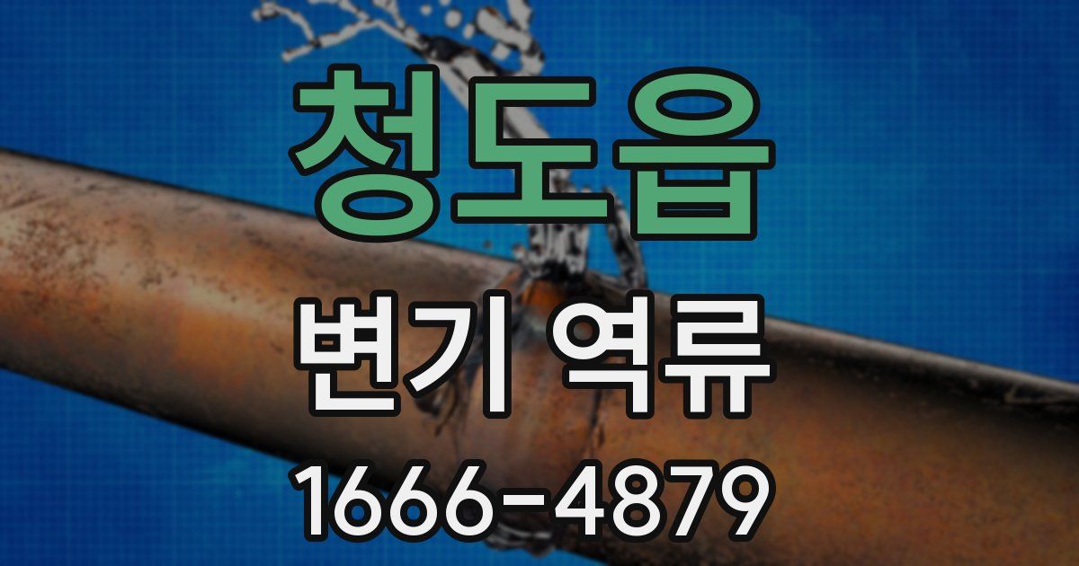 청도읍 변기 역류
