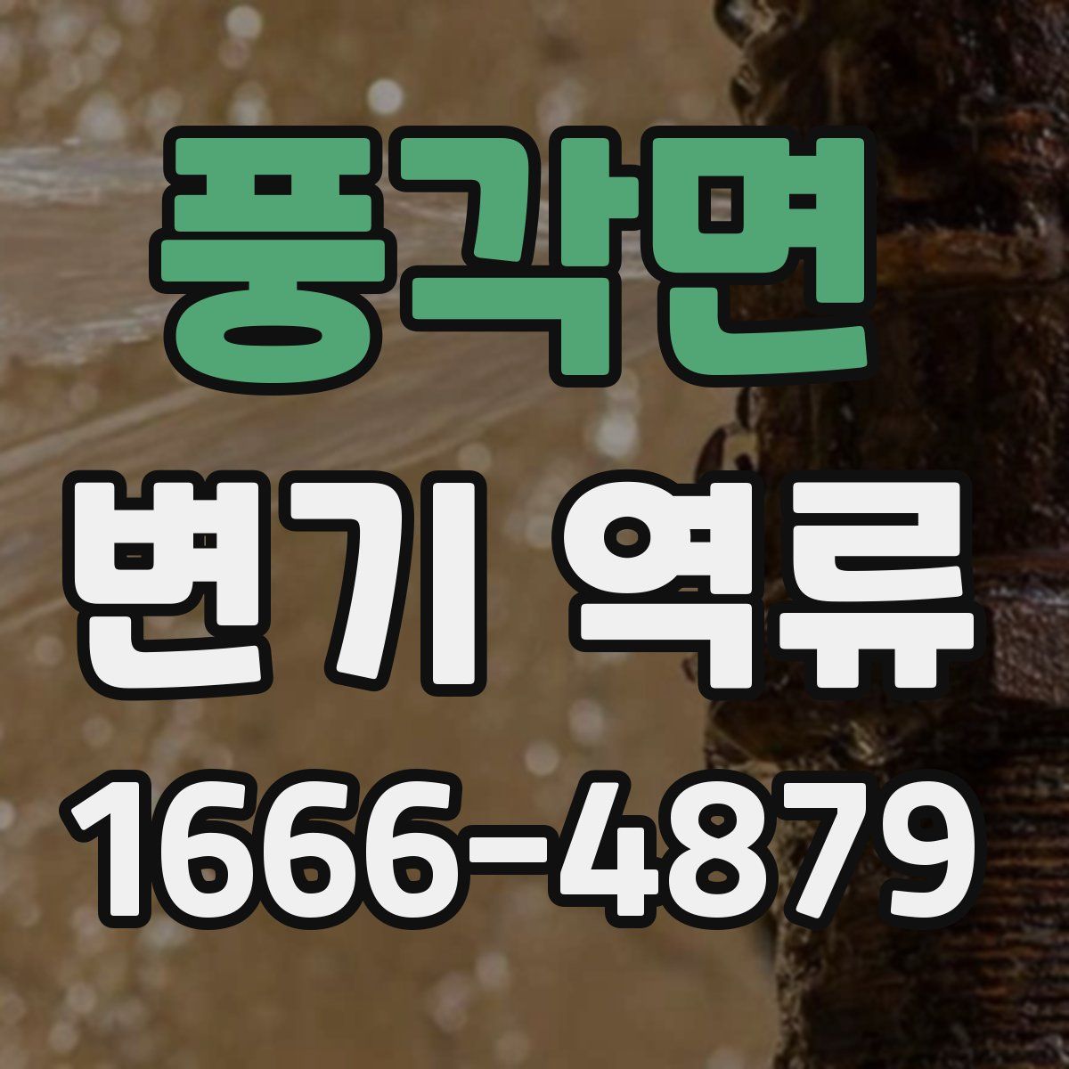 풍각면 변기 역류