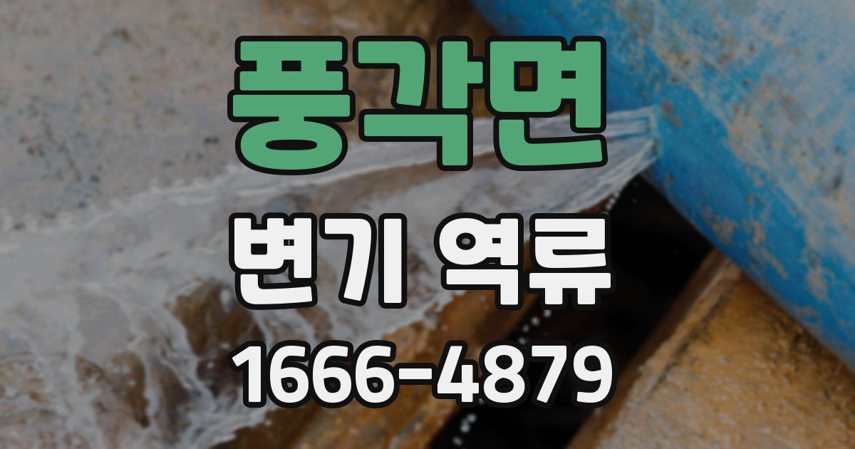 풍각면 변기 역류
