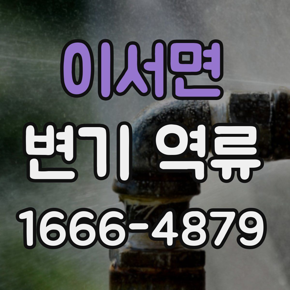 이서면 변기 역류